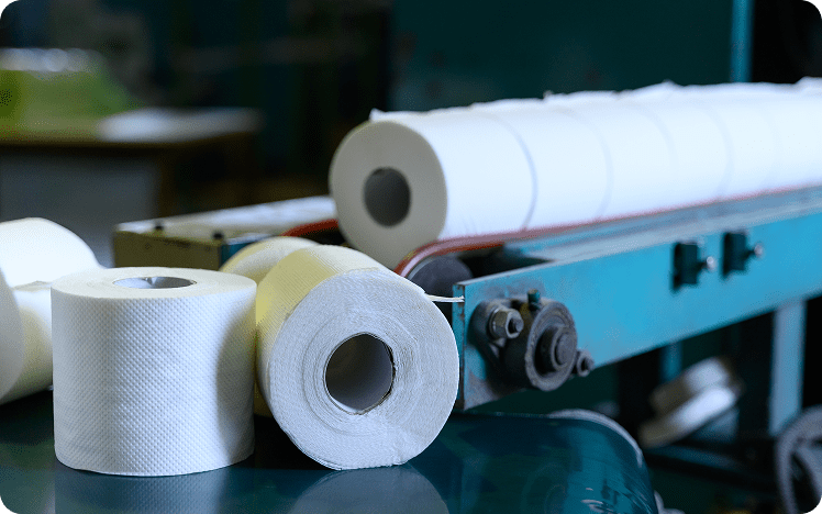 Toilet paper rolls on conveyor belt